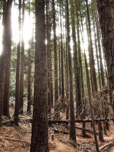 8 Unforgettable Outdoor Activities Maui Has To Offer 2