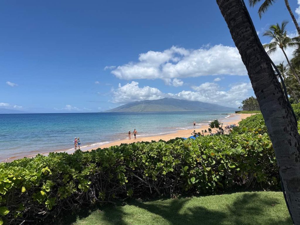 The view from the backyard of a Keawakapu Beach Home for Sale