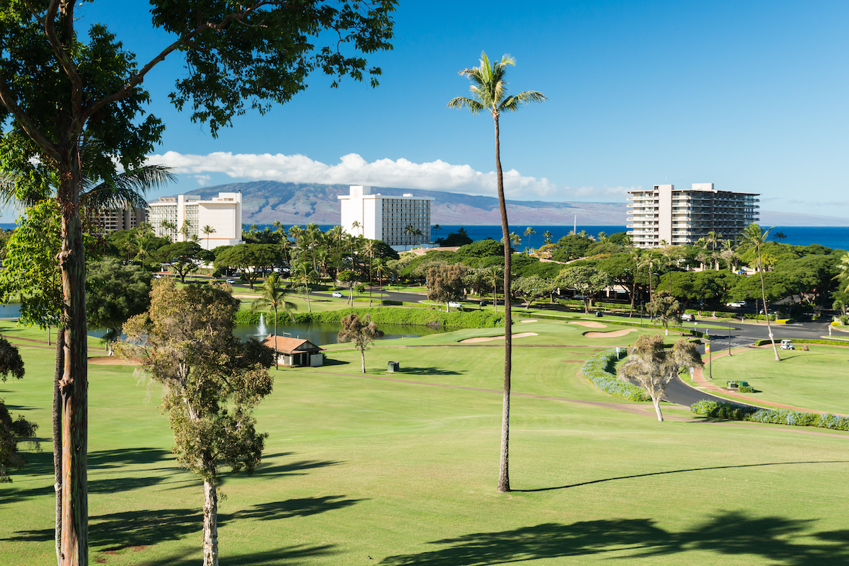 Golf Course and Beach living in Kaanapali