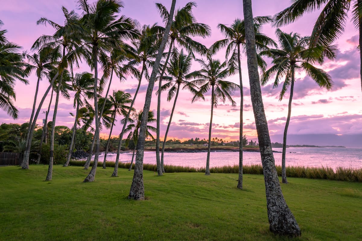 Maui Real Estate Market Update Q2 2024 Vol. 1 Beauty. Rainbow Sherbert colored skies viewed from a palm grove along the North Shore coastline. 