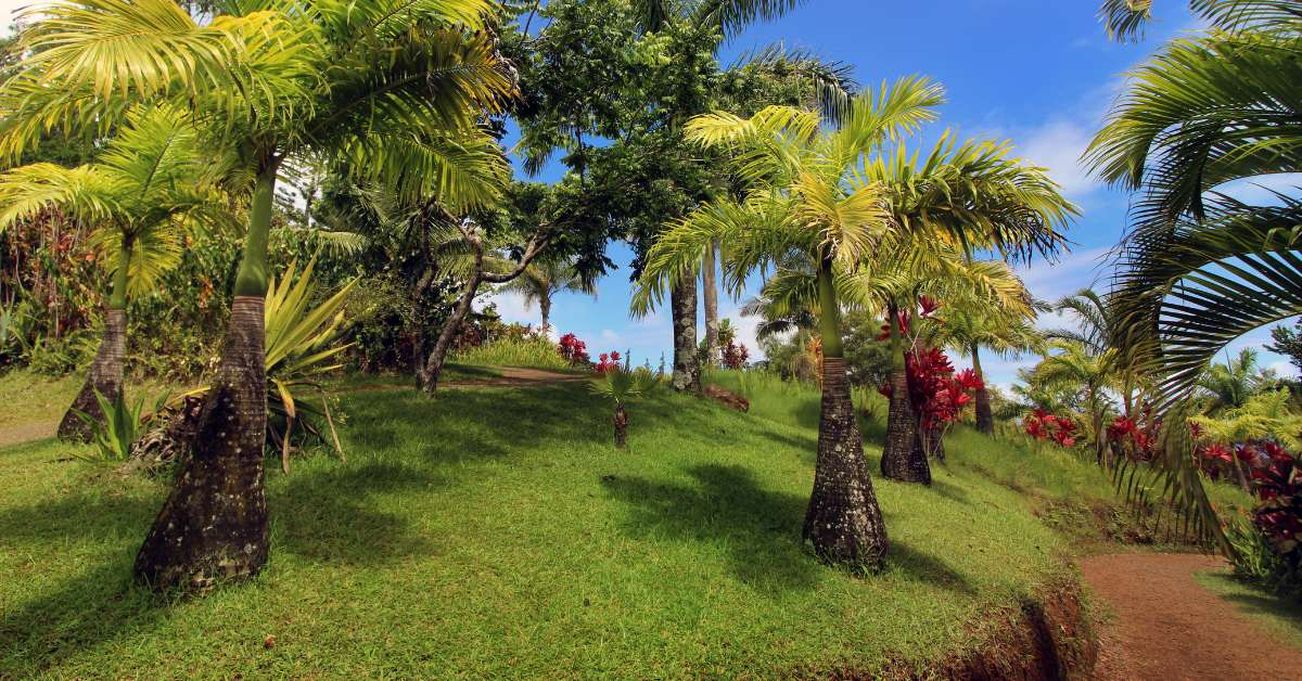 Haiku Land for Sale 2 botanical gardens on land in haiku maui