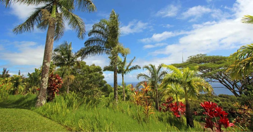 haiku land for sale