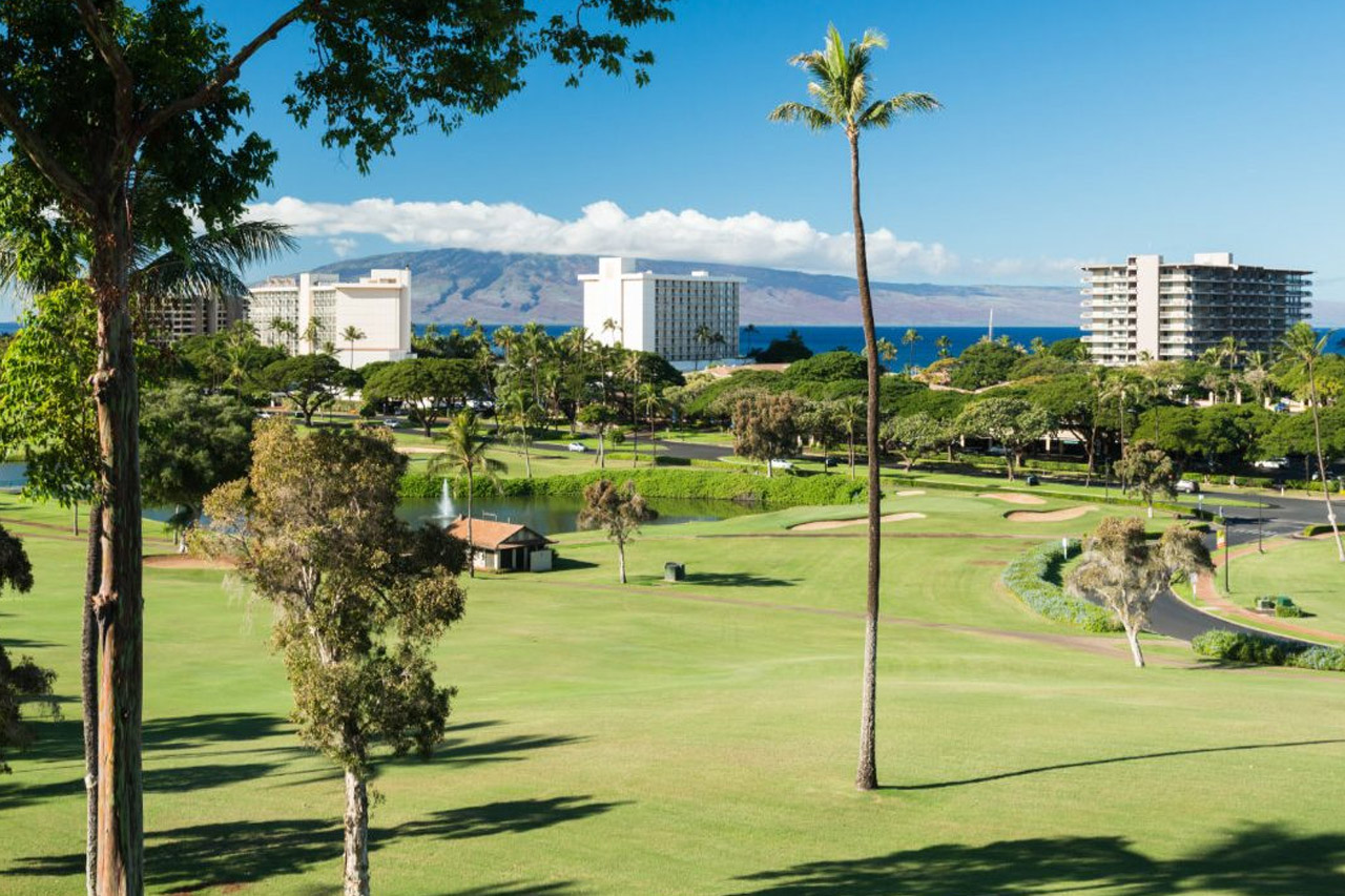 Maui Condos for Sale 6