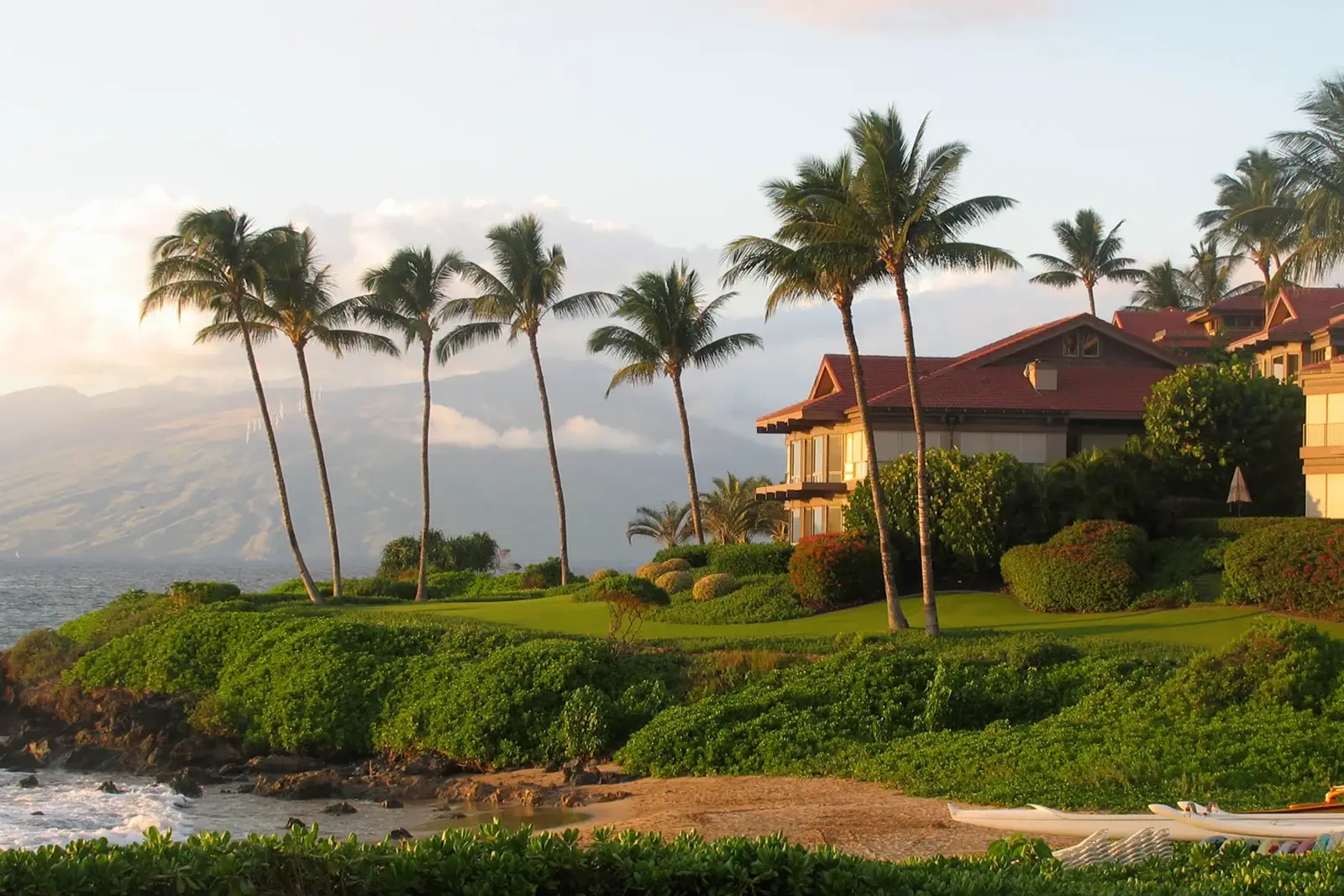 Oceanfront villas with palm trees.