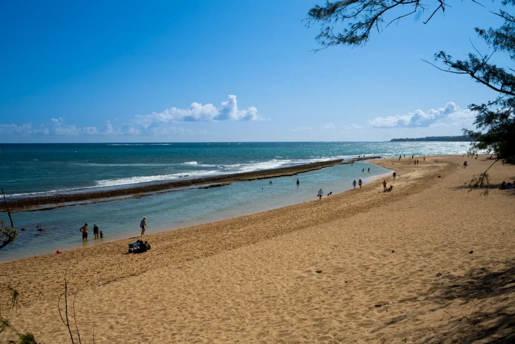 Discover Spreckelsville Homes for Sale 2