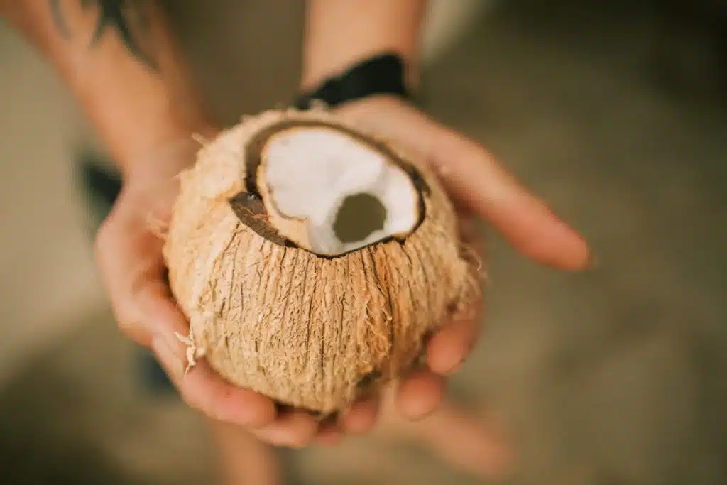 A person holding a cracked coconut with the shell partially removed, revealing the white flesh inside.