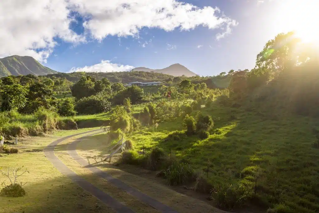 A winding road leads through lush green vegetation towards distant mountains under a partially cloudy blue sky, with sunlight illuminating the landscape.