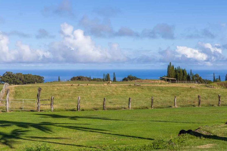 Haiku Real Estate Listings 1