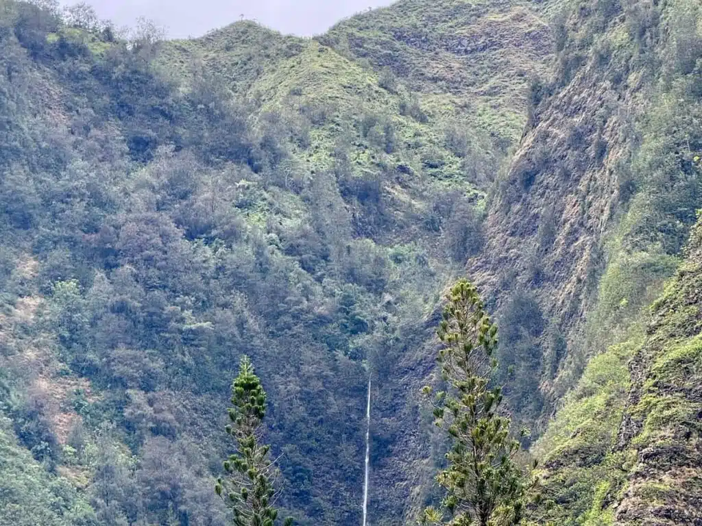 A distant waterfall cascading down a lush, green mountain slope with two pine trees in the foreground.