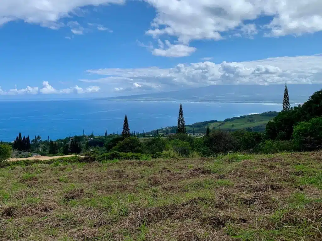 A scenic view of a grassy field with tall trees overlooking a coastline and the ocean, under a partly cloudy sky.