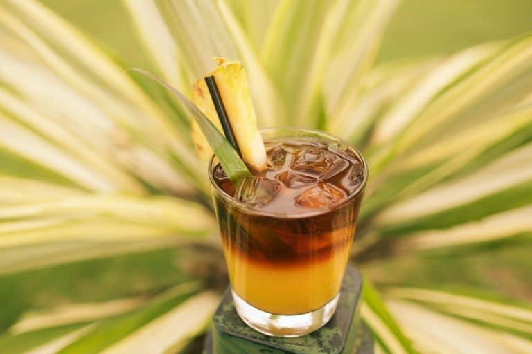 A layered cocktail with yellow and dark brown liquid served in a glass with ice cubes, garnished with a slice of pineapple and a straw, set against a backdrop of green foliage.