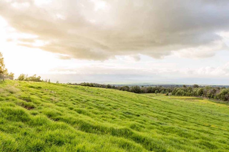 Kula Pasture land