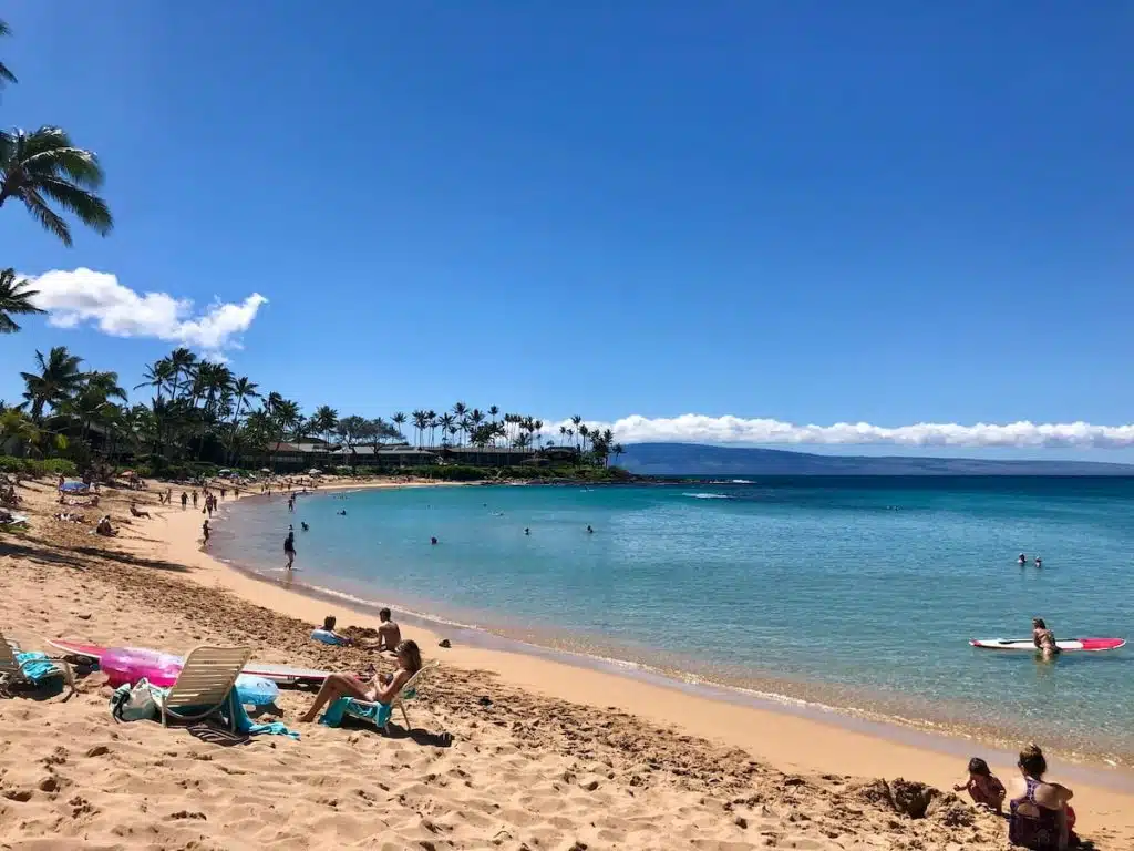 A sandy beach with people sunbathing, swimming, and paddleboarding under a clear blue sky, with palm trees and distant mountains in the background.