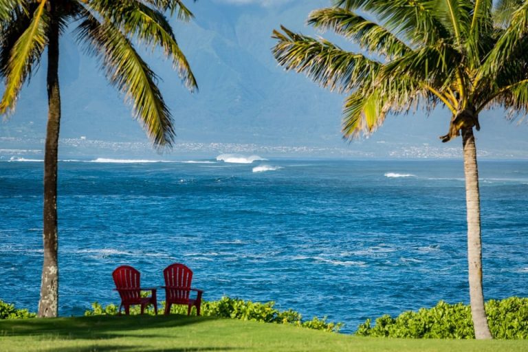 Two red chairs on a grassy area overlooking a calm ocean, with palm trees framing the scene and mountains in the background.