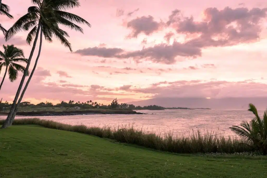 A coastal landscape with palm trees silhouetted against a pink sunset sky, overlooking calm waters and a grassy shoreline.