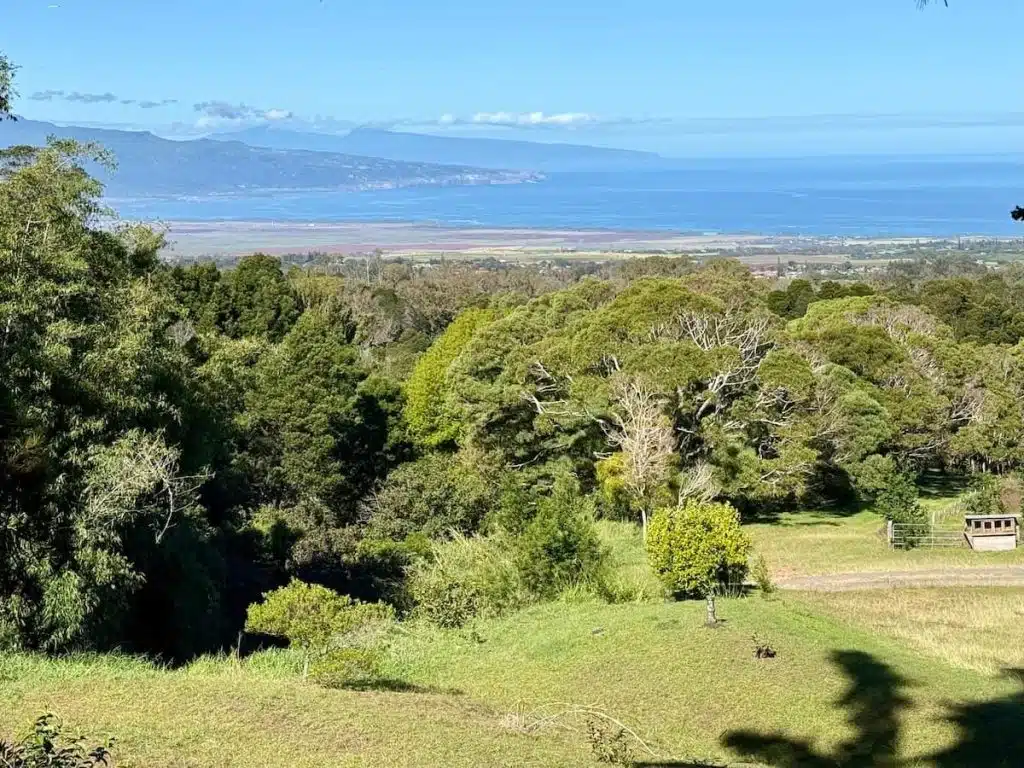 A scenic view of lush greenery and trees in the foreground with a backdrop of the ocean and distant mountains under a clear blue sky.