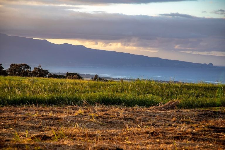 A grassy field in the foreground with a view of the ocean and a mountain range in the background under a cloudy sky.