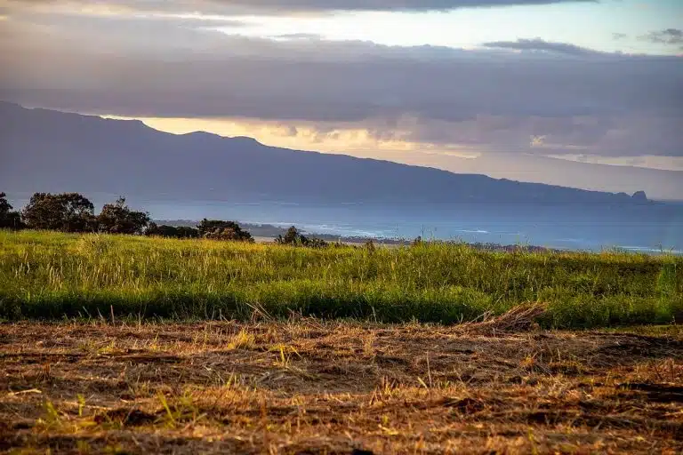 A grassy field in the foreground with a view of the ocean and a mountain range in the background under a cloudy sky.