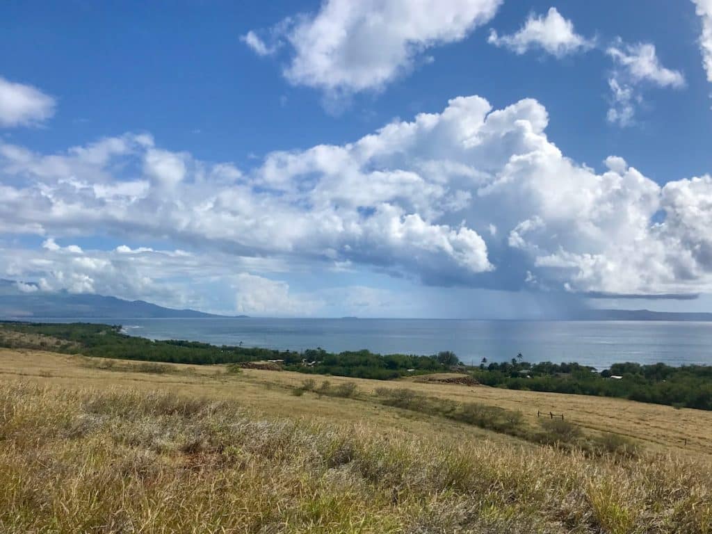 A coastal landscape view featuring a grassy field in the foreground, lush greenery nearer the shoreline, and a calm ocean under a partly cloudy sky.