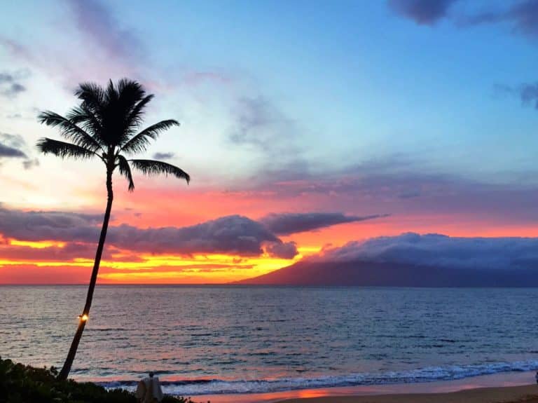 A lone palm tree silhouetted against a vibrant sunset over the ocean, with hues of orange, pink, and blue in the sky and a small island visible in the distance.