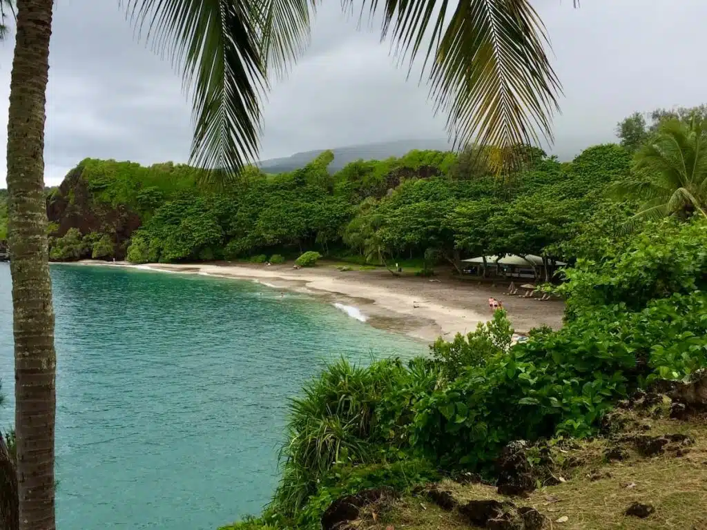 A tropical beach with lush green vegetation, calm turquoise water, and a few people relaxing under a cloudy sky, framed by palm trees.