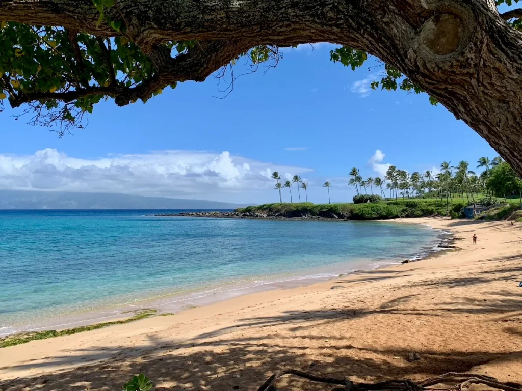 kapalua bay