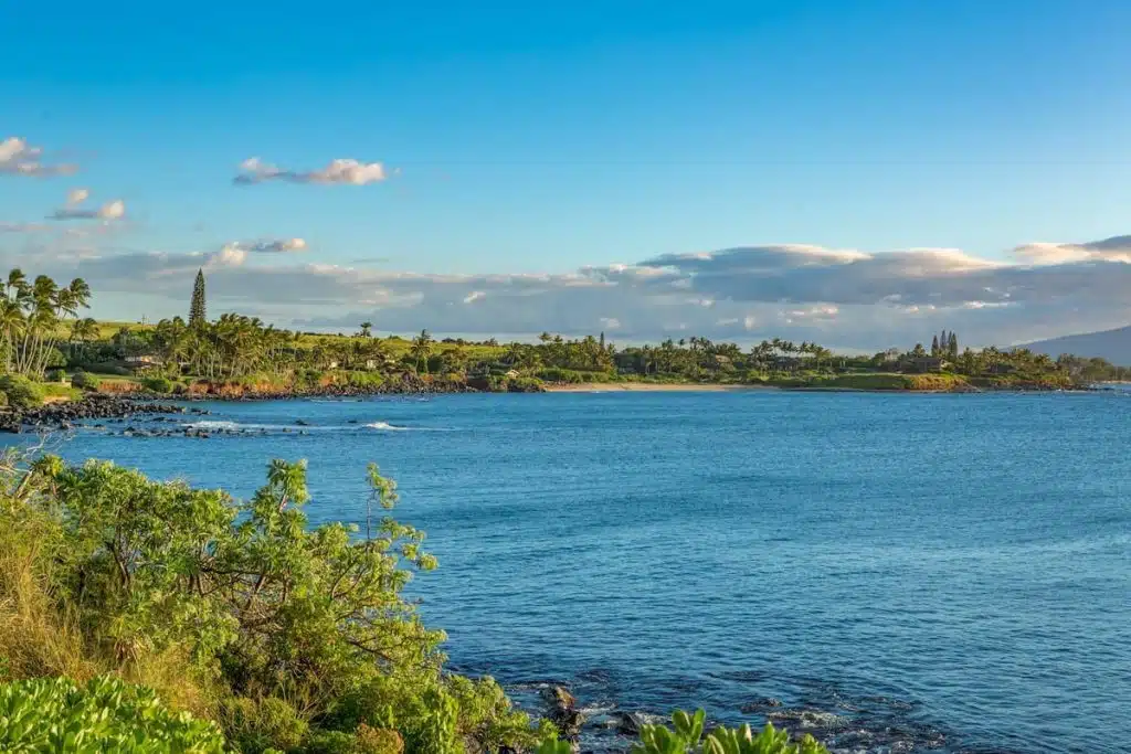 Scenic view of a coastal landscape with lush greenery, palm trees, and a calm blue ocean under a clear sky.