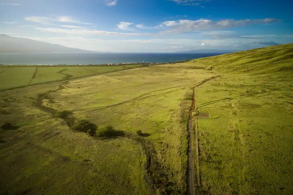 Aerial view of a vast grassy plain with a winding road, leading towards the coastline and ocean under a clear blue sky.