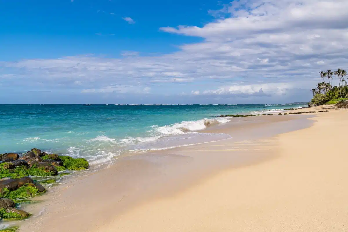 A scenic beach with golden sand, turquoise waves, and rocky outcrops covered in green moss under a bright blue sky with scattered clouds. Palm trees line the distant shore.
