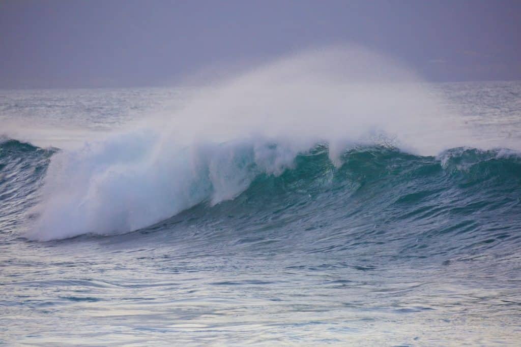 A large ocean wave crashing with white foam and spray under a cloudy sky.