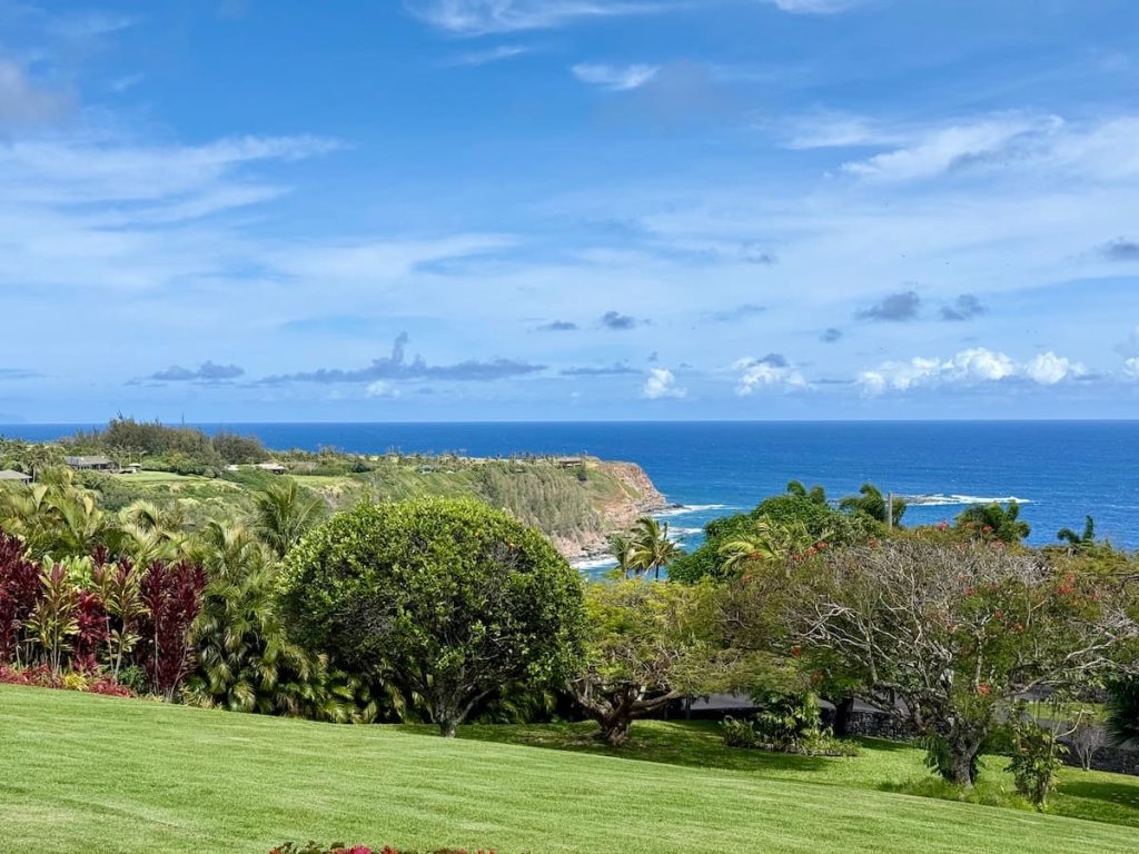 A scenic view of a grassy landscape leading to a cliff overlooking the ocean, with trees and shrubs in the foreground and a clear blue sky above.