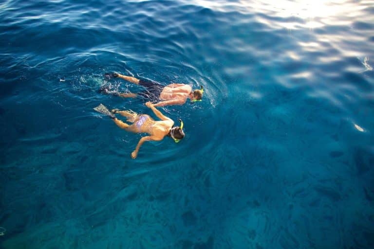 Two people snorkeling in clear blue ocean water, swimming side by side with snorkel gear and fins.