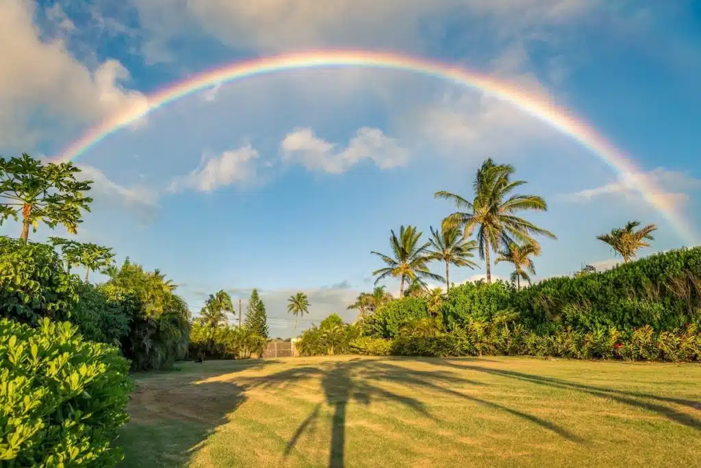 A vibrant rainbow arcs over a lush tropical landscape with palm trees and green foliage under a blue sky with some clouds.