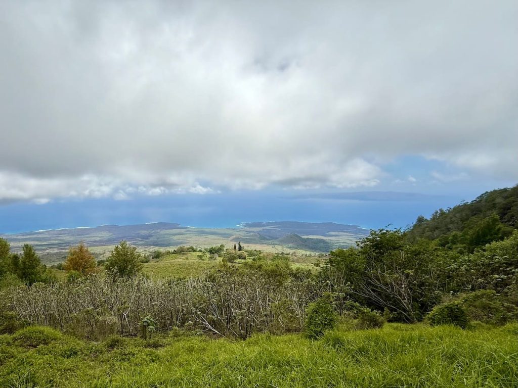 Higher Elevations of Kula can be cloaked in clouds during the afternoon.