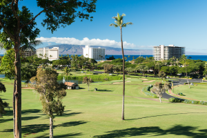 Golf Course and Beach living in Kaanapali