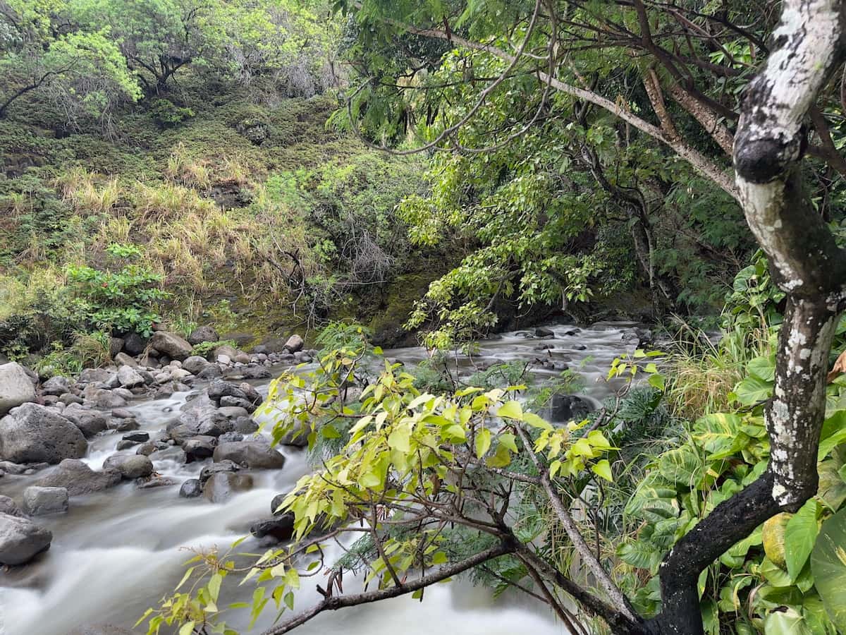 Maui Real Estate Market Update Q1 2025 Vol. 3 1 Maui Real Estate Market Update Q1 2025 Vol. 3 Touch of Maui Beauty Iao Stream