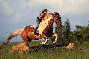 upcountry offers horse back riding and all kinds of other outdoor activities.