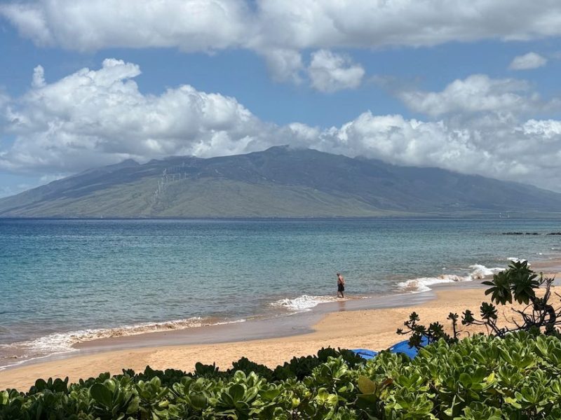 April 2026 Maui Statistics and Market Update Cover Photo