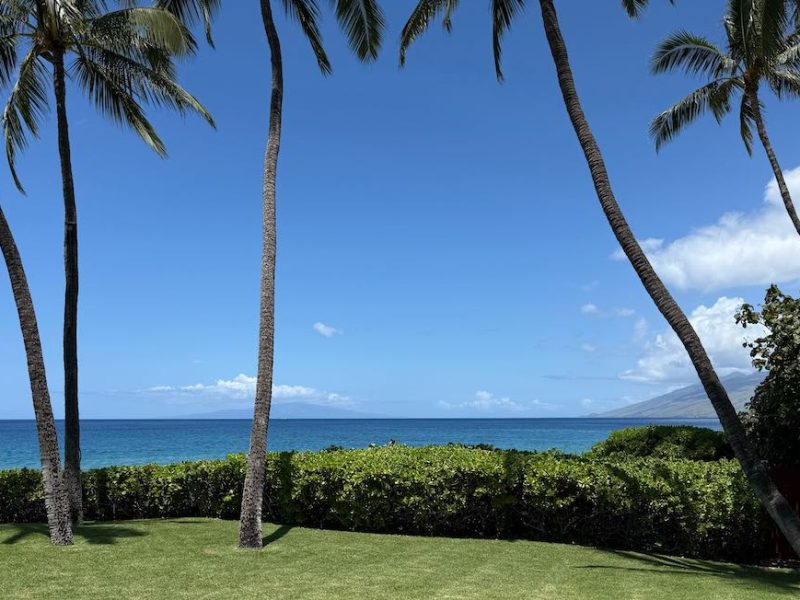 The cover photo for the August Maui Market Update and Market Statistics shows the view from the backyard of a beachfront home in South Maui. Tall palm trees and a green lawn frame a view of the ocean and the island of Lanai. It is a very blue sky with clouds blowing in the trade winds concentrated around the west maui mountains and the top of Lanai.