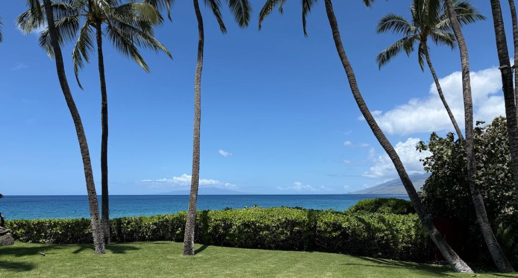 The cover photo for the August Maui Market Update and Market Statistics shows the view from the backyard of a beachfront home in South Maui. Tall palm trees and a green lawn frame a view of the ocean and the island of Lanai. It is a very blue sky with clouds blowing in the trade winds concentrated around the west maui mountains and the top of Lanai.