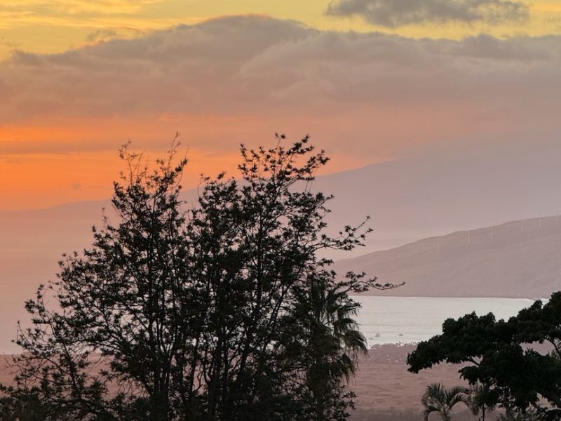 November 2025 Statistics and Market Update