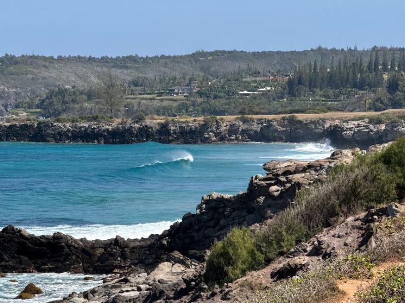 January 2026 Maui Statistics and Market Update Cover Photo Kapalua