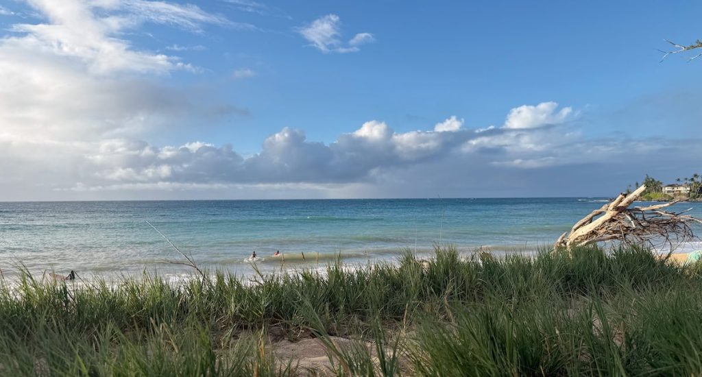 May 2026 Maui Statistics and Market Update Cover Photo Showing Paia Bay in the late afternoon