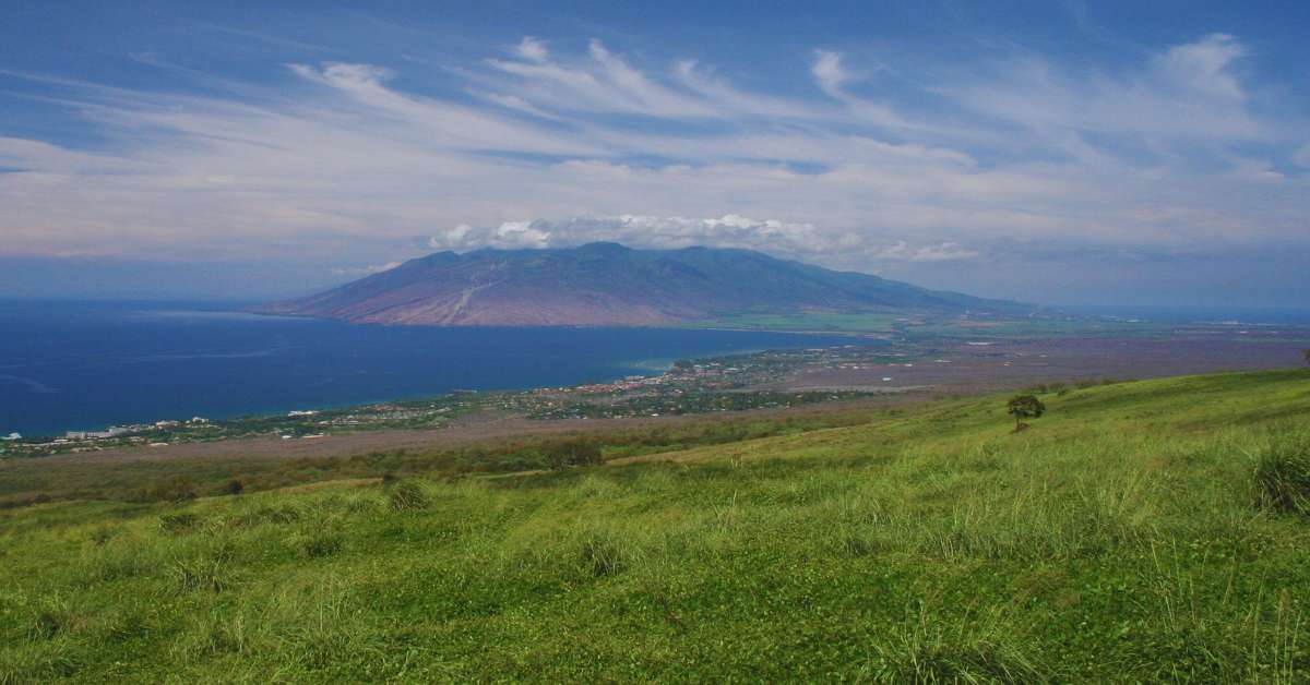 maui image